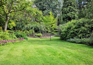Optimiser l'expérience du jardin à Villeneuve-sur-Verberie